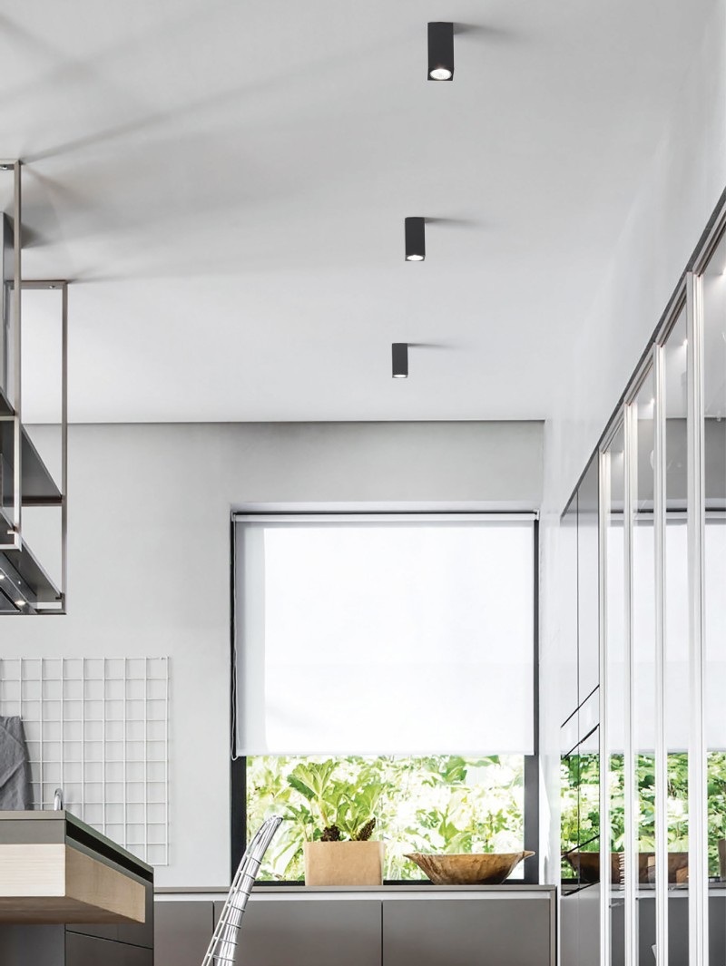 Aloa ceiling